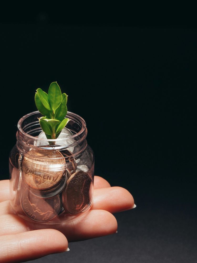Sustainable Investing and ESG